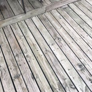 Meet your Posher, Bailey